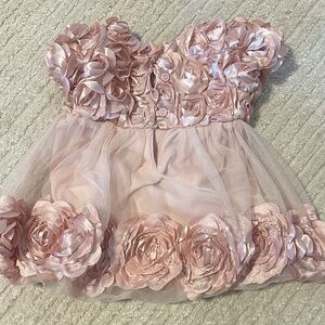 Elegant Pink Baby Dress with Rosettes